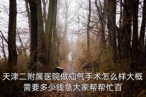 天津二附屬醫院做疝氣手術怎么樣大概需要多少錢急大家幫幫忙百