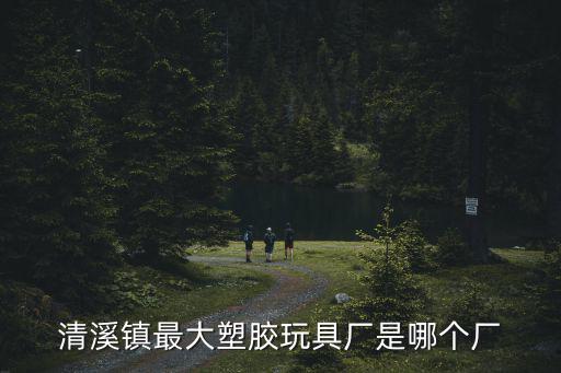 清溪鎮最大塑膠玩具廠是哪個廠