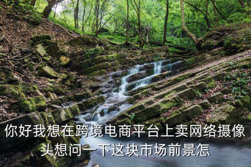 你好我想在跨境電商平臺上賣網絡攝像頭想問一下這塊市場前景怎