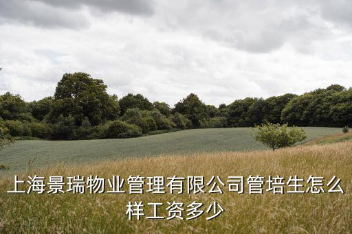 上海景瑞物業管理有限公司管培生怎么樣工資多少