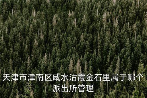 天津市津南區(qū)咸水沽霞金石里屬于哪個(gè)派出所管理