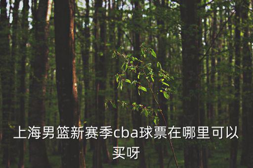 上海男籃新賽季cba球票在哪里可以買呀