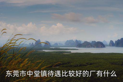 東莞市中堂鎮待遇比較好的廠有什么