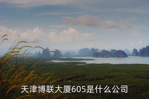 天津博聯大廈605是什么公司