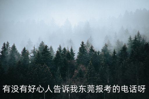 有沒有好心人告訴我東莞報考的電話呀