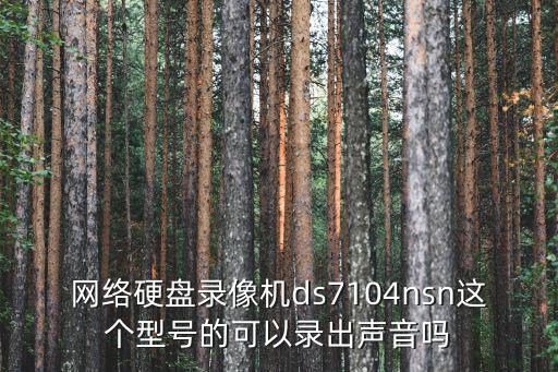 網絡硬盤錄像機ds7104nsn這個型號的可以錄出聲音嗎