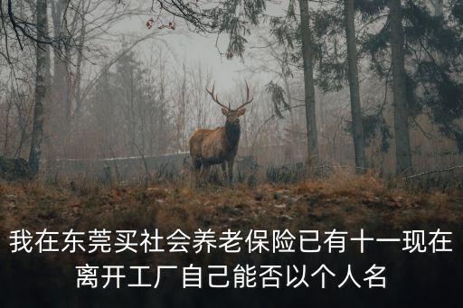 東莞 村改居 試點，我在東莞買社會養老保險已有十一現在離開工廠自己能否以個人名