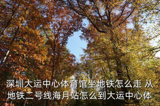 深圳大運中心體育館坐地鐵怎么走 從地鐵二號線海月站怎么到大運中心體