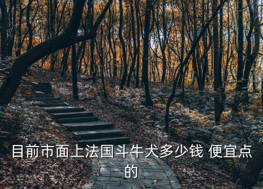 目前市面上法國斗牛犬多少錢 便宜點的