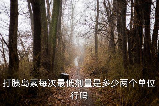 打胰島素每次最低劑量是多少兩個(gè)單位行嗎
