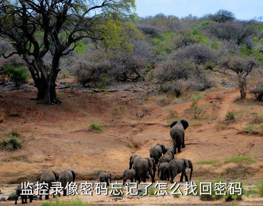 監(jiān)控錄像密碼忘記了怎么找回密碼