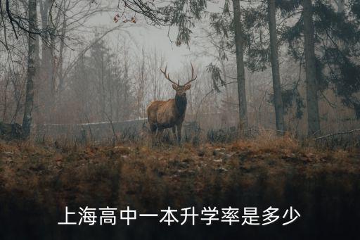 上海市常青高中升學率，上海初中升高中錄取率