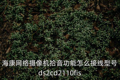 海康網絡攝像機拾音功能怎么接線型號ds2cd2110fis