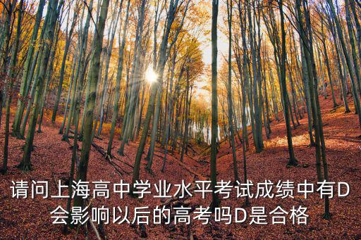 請問上海高中學業(yè)水平考試成績中有D會影響以后的高考嗎D是合格