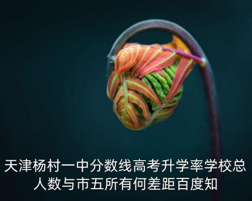 天津市內(nèi)6取保楊村一中，天津楊村一中分?jǐn)?shù)線高考升學(xué)率學(xué)校總?cè)藬?shù)與市五所有何差距百度知