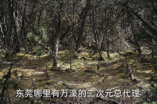 東莞市科信電子儀器有限公司1688，東莞哪里有萬濠的二次元總代理