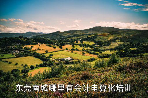 東莞審計(jì)局新聞，想要在外面找找一些比較好的會(huì)計(jì)培訓(xùn)機(jī)構(gòu)去學(xué)習(xí)下最好是東莞的