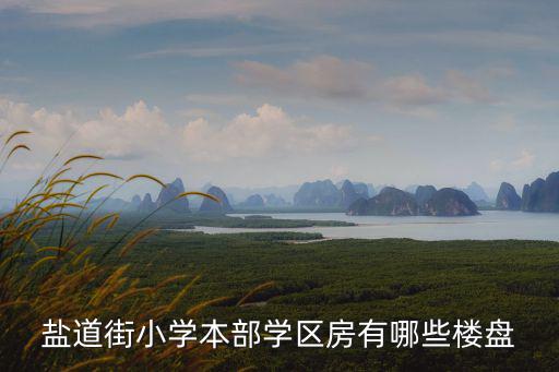 鹽道街小學(xué)本部學(xué)區(qū)房有哪些樓盤