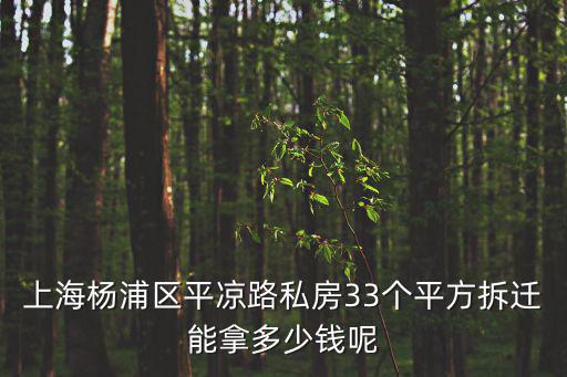 上海楊浦區(qū)平?jīng)雎匪椒?3個(gè)平方拆遷能拿多少錢(qián)呢