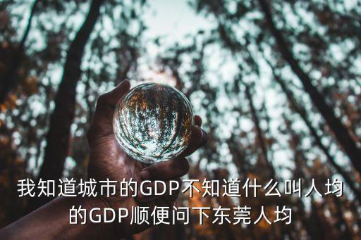 我知道城市的GDP不知道什么叫人均的GDP順便問下東莞人均