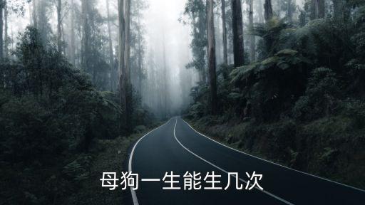 母犬一生要懷孕多少次合適，母犬一胎可生產(chǎn)多少胎兒