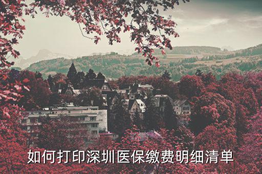如何打印深圳醫(yī)保繳費明細(xì)清單