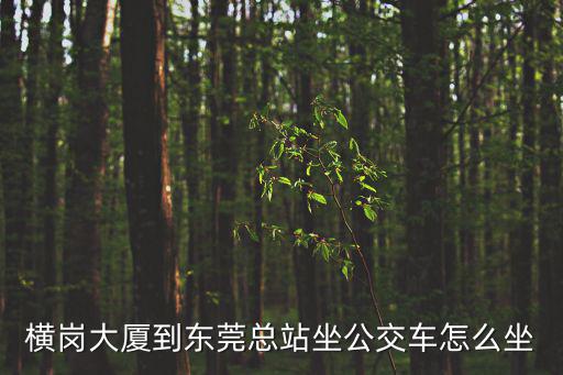 橫崗大廈到東莞總站坐公交車怎么坐