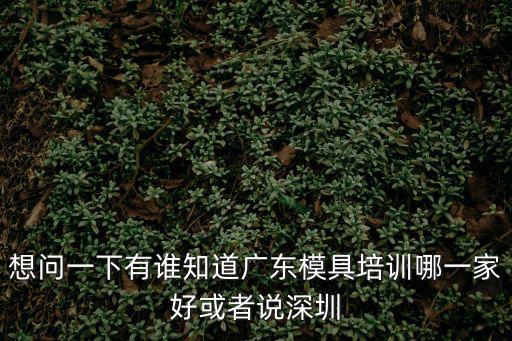 深圳求實模具培訓怎么樣，深圳模具設計培訓學校哪家好