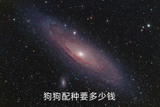 狗狗配種要多少錢
