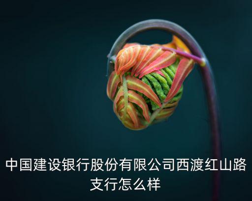 上海市西渡鎮建設銀行，上海奉賢地區有哪些鎮有建設銀行