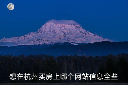 想在杭州買房上哪個網(wǎng)站信息全些
