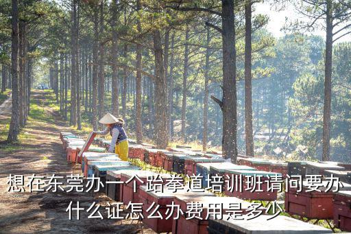 東莞東城跆拳道培訓要多少錢，東莞體育館附近的跆拳道館怎么收費訓練內容有什么