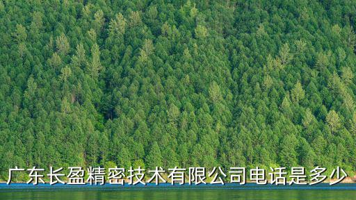 廣東長盈精密技術有限公司電話是多少