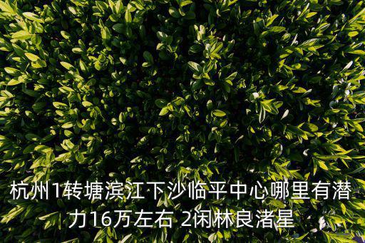 杭州1轉(zhuǎn)塘濱江下沙臨平中心哪里有潛力16萬(wàn)左右 2閑林良渚星