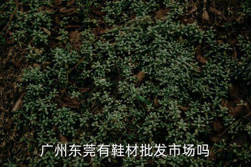 廣州東莞有鞋材批發(fā)市場嗎