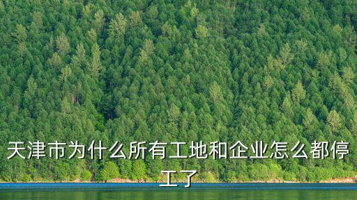 天津市為什么所有工地和企業(yè)怎么都停工了