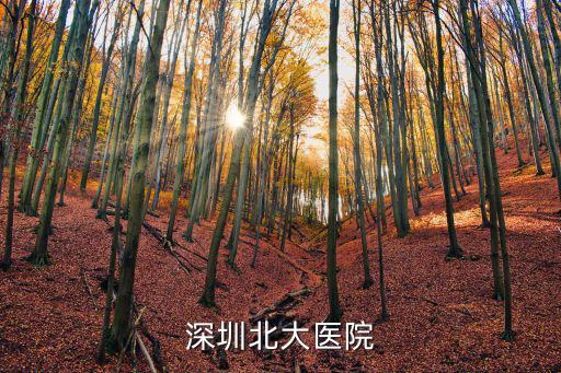 深圳北大醫院