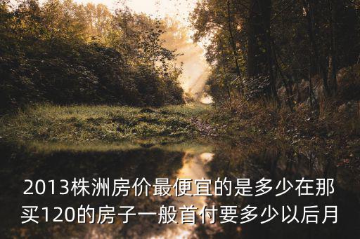 2013株洲房價最便宜的是多少在那買120的房子一般首付要多少以后月