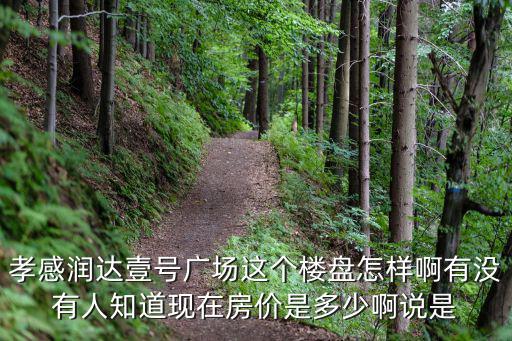 孝感潤(rùn)達(dá)壹號(hào)廣場(chǎng)這個(gè)樓盤(pán)怎樣啊有沒(méi)有人知道現(xiàn)在房?jī)r(jià)是多少啊說(shuō)是