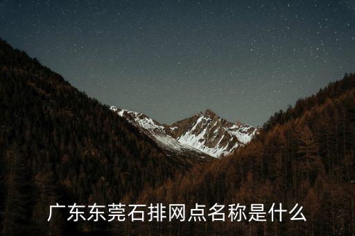 廣東東莞石排網(wǎng)點(diǎn)名稱是什么