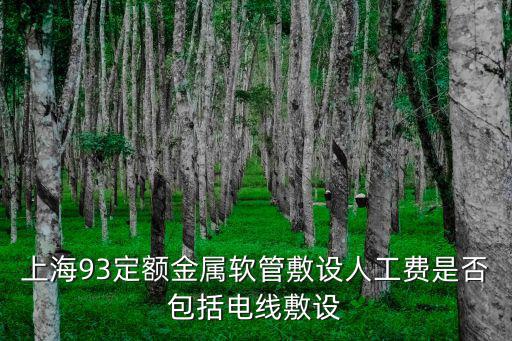 上海93定額金屬軟管敷設人工費是否包括電線敷設