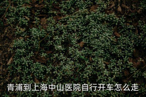 青浦到上海中山醫(yī)院自行開車怎么走