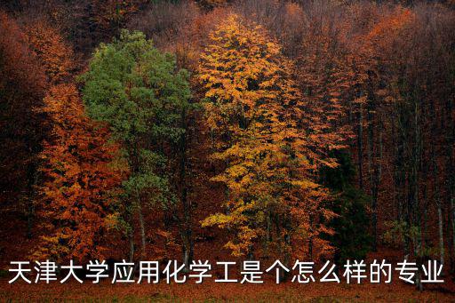 天津大學應用化學工是個怎么樣的專業