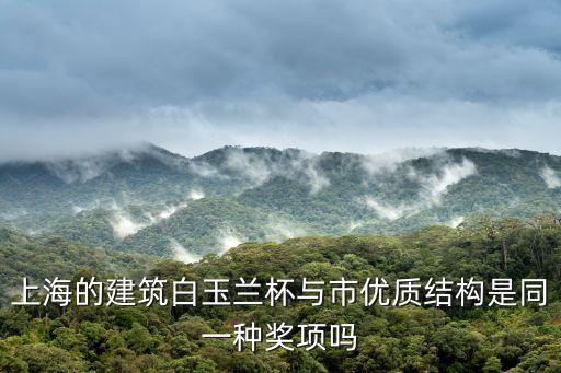 上海的建筑白玉蘭杯與市優質結構是同一種獎項嗎