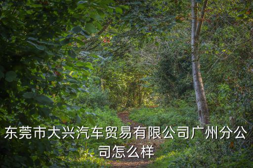 東莞市大興汽車貿(mào)易有限公司廣州分公司怎么樣