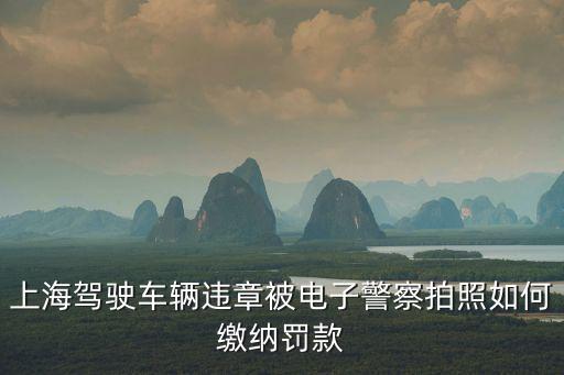 上海市平?jīng)雎愤`章抓拍，上海楊浦區(qū)平?jīng)雎匪椒?3個(gè)平方拆遷能拿多少錢呢