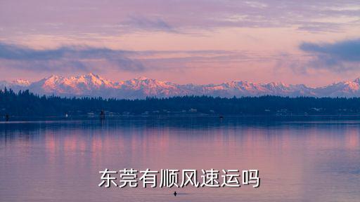 東莞有順風(fēng)速運嗎