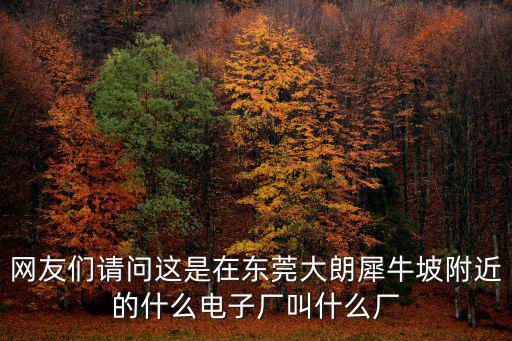 網友們請問這是在東莞大朗犀牛坡附近的什么電子廠叫什么廠