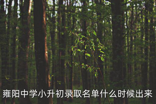 天津市雍陽中學(xué)招生考試時間，09年雍陽初中報考時間是什么時候