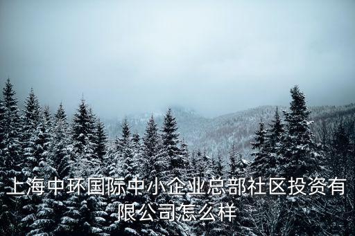 上海中環國際中小企業總部社區投資有限公司怎么樣
